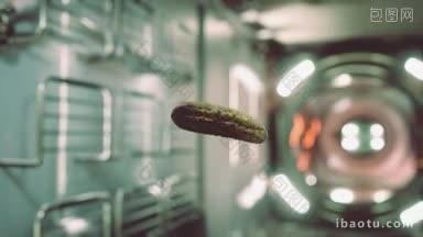 在国际空间站浮动的腌黄瓜